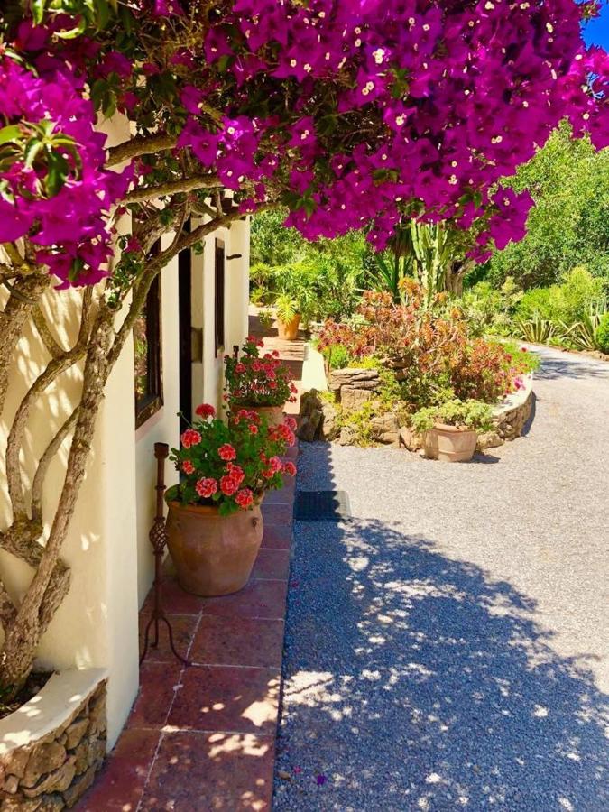 Agroturismo Can Talaias San Carlos Es Cana Екстериор снимка
